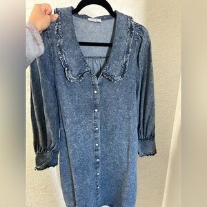 Denim Button-Up Dress with Peter Pan  Collar